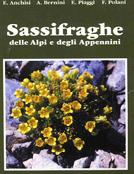 ibro, recensione, titolo, saxifraghe delle Alpie ed Appennini