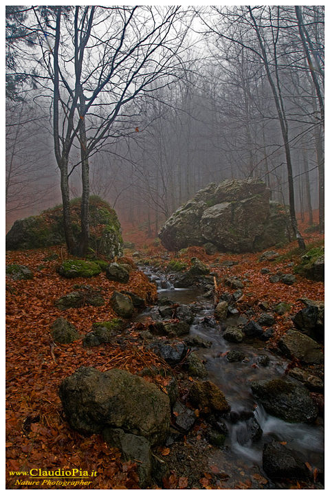 panorama landscape