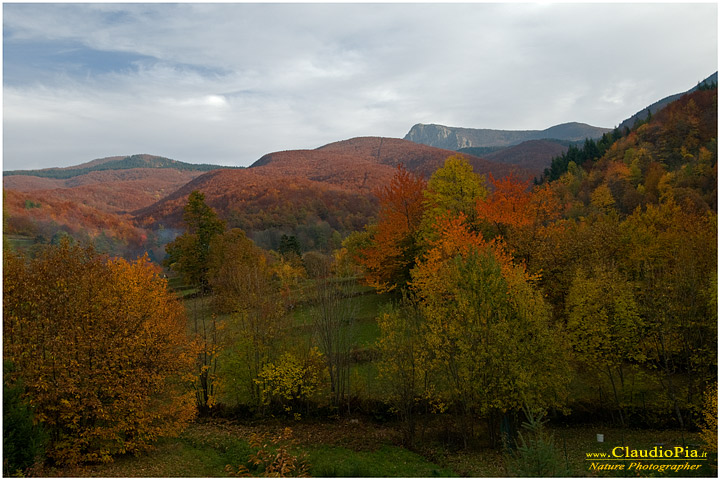 panorama landscape