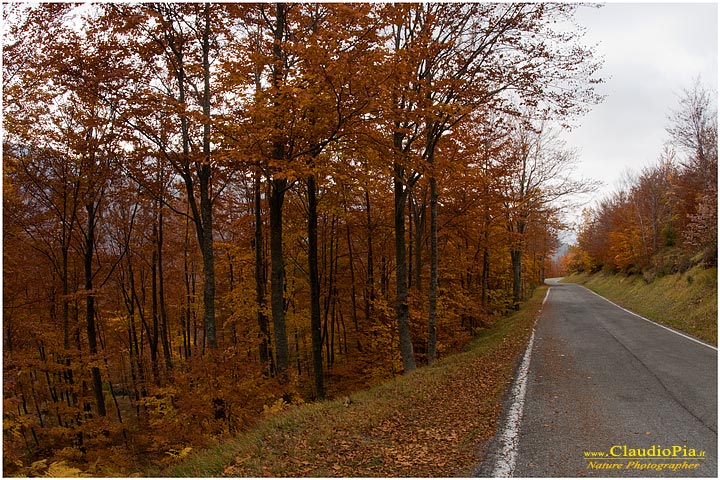 panorama landscape