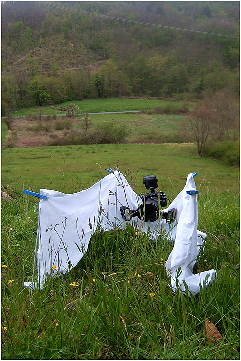 backstage settings claudio pia, fotografia naturalistica