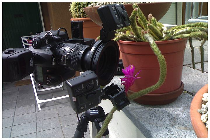 backstage settings claudio pia, fotografia naturalistica