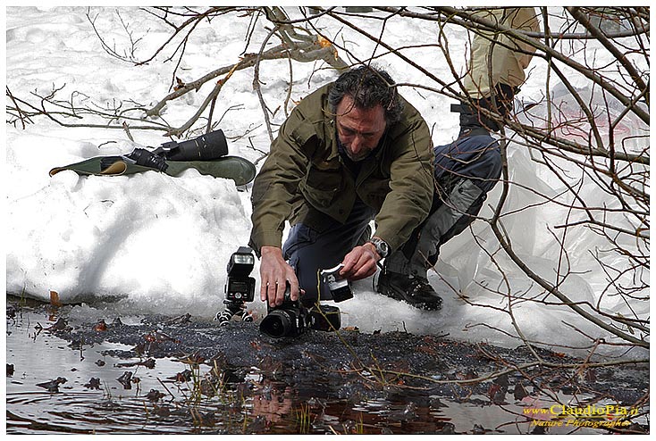 backstage settings claudio pia, fotografia naturalistica