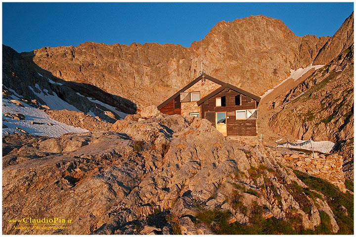 Rifugio pagarì alba, fiori alpini, fiori di montagna, alpine flowers, alpi marittime