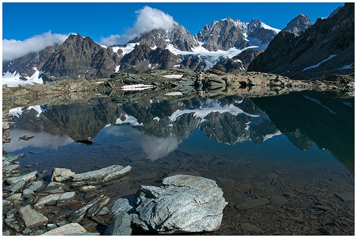 Lago alpino Valtellina, fiori alpini, fiori di montagna, alpine flowers