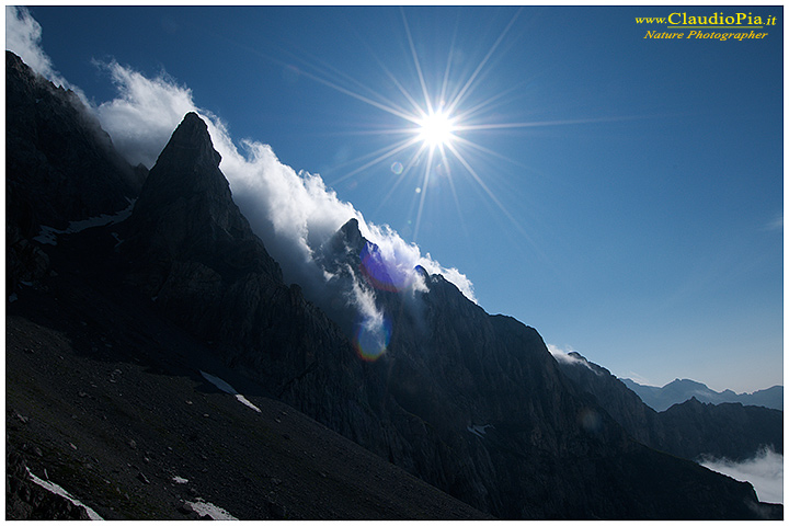 Marguareis Alpi Liguri, fiori alpini, fiori di montagna, alpine flowers