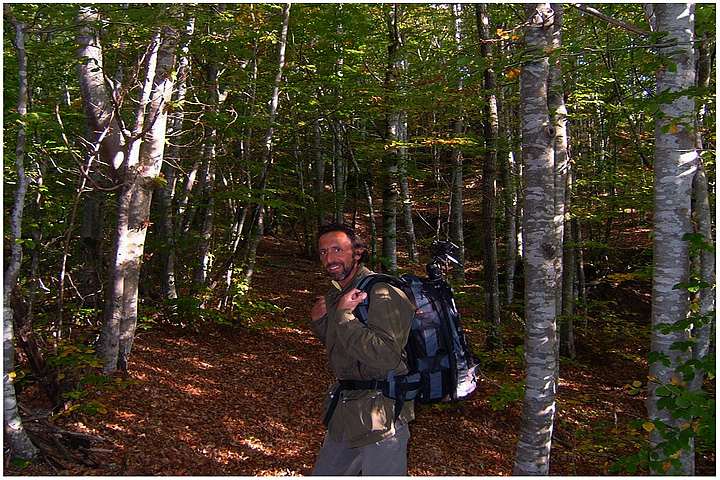 A spasso per il bosco val d'aveto