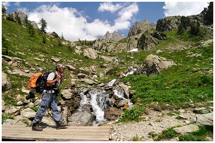 Claudio Pia, fiori di montagna, fioriture alpine, alpine flowers foto, alpi marittime