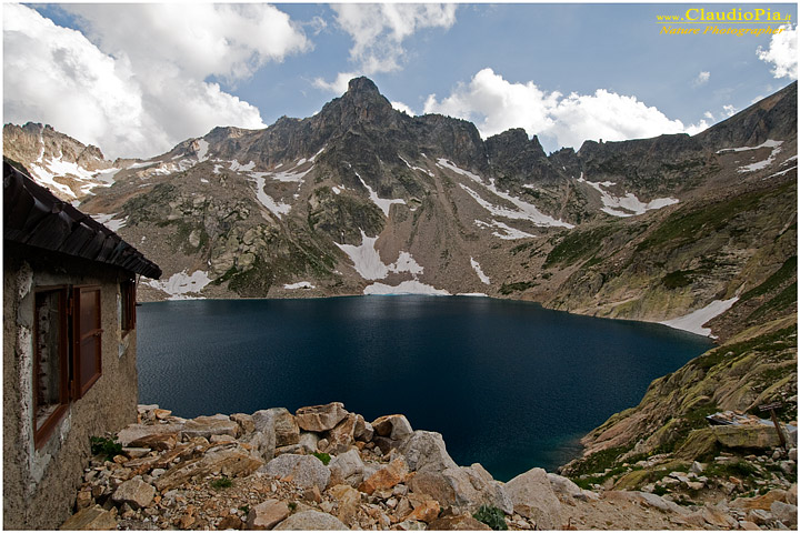 Lago di Portette, fiori di montagna, fioriture alpine, alpine flowers foto, fotografia