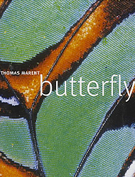 Libro di macrofotografia,, fotografia macro, recensione, butterfly, nature photography, thomas marent